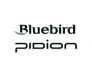 Bluebird Bluebird
